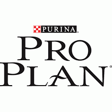 Pro Plan